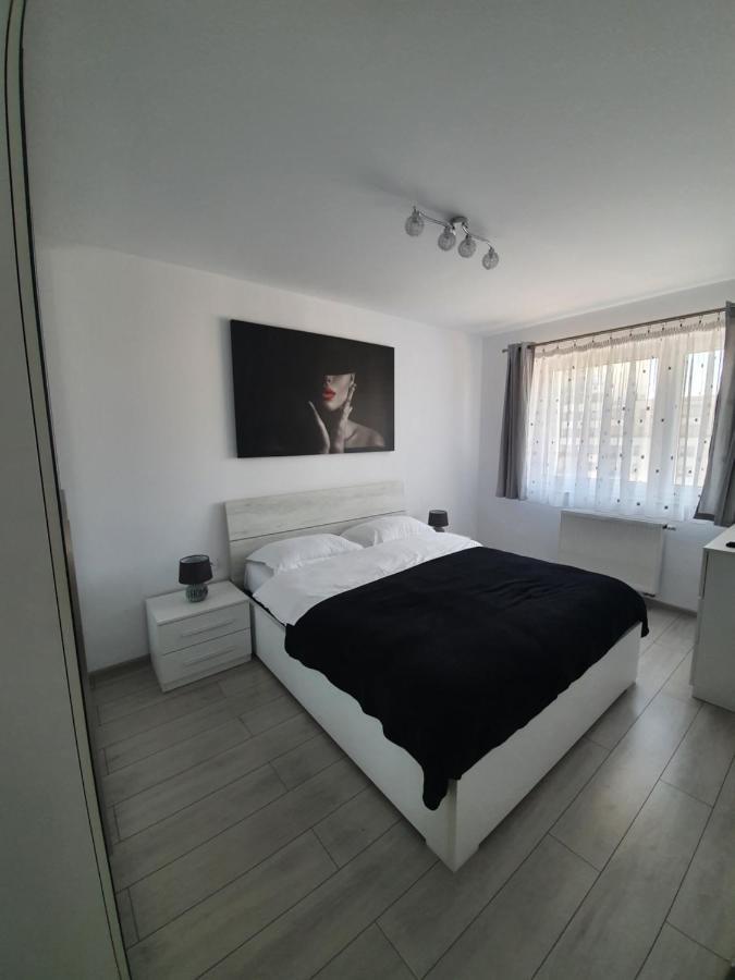 Apartament Coresi Promenada Coresi 布拉索夫 外观 照片