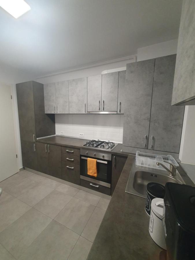 Apartament Coresi Promenada Coresi 布拉索夫 外观 照片